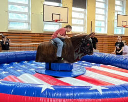 Byk rodeo wynajem - Warszawa