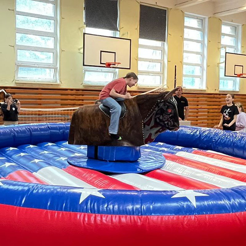 Byk rodeo - wynajem - Warszawa