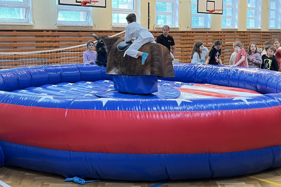 Byk rodeo - wynajem - Warszawa